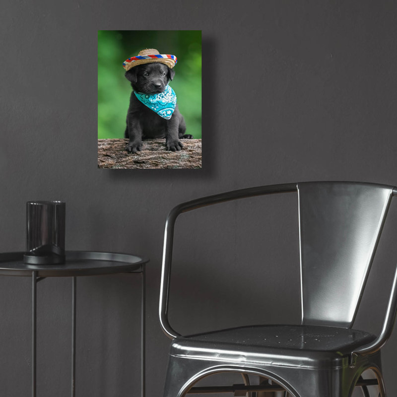 «Black Lab Pup 6» par Jonathan Ross, H 16 po x l 12 po x P 0,13 po