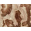 Ajoloko Animal Print Brown Square Cushion
