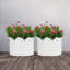 Boîte à fleurs surélevée en métal 2PCS