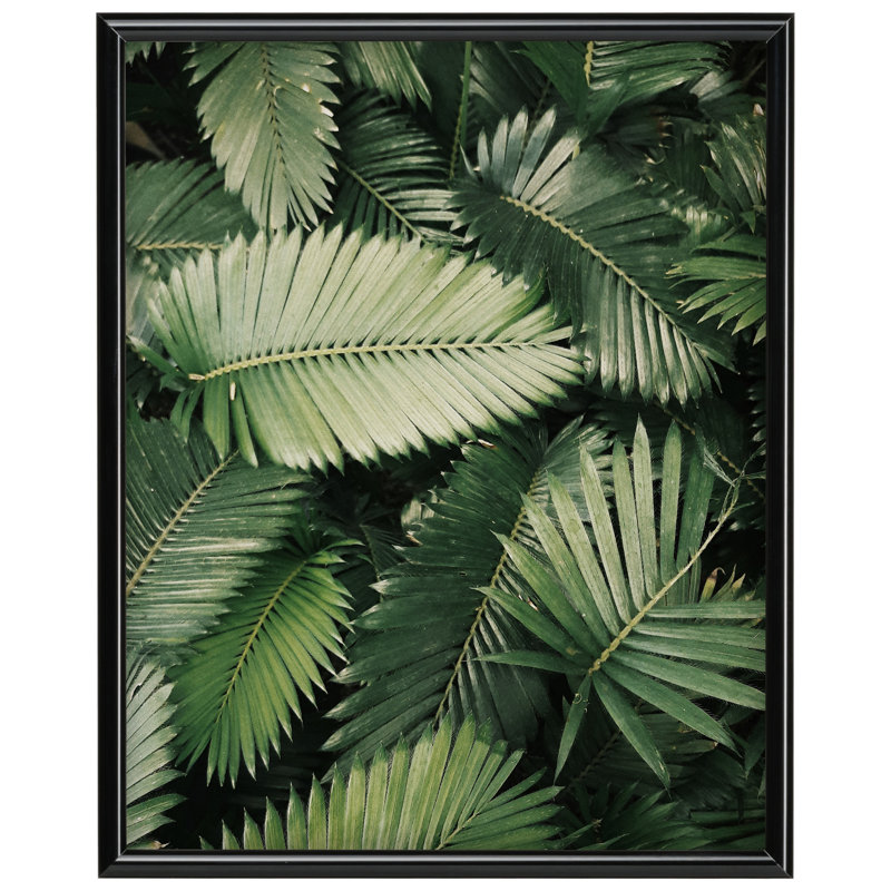 Cadre photo unique Vinci, L 12 po x H 16 po, Rectangulaire, Noir