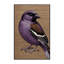  Tapis lavable mauve-1916908148