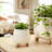 Ereka Stoneware and Ceramic Footed Round Planters with Triple Ball Base Design Set of 2-1852085794