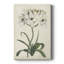 «Garden V», impression sur toile tendue-1690118019
