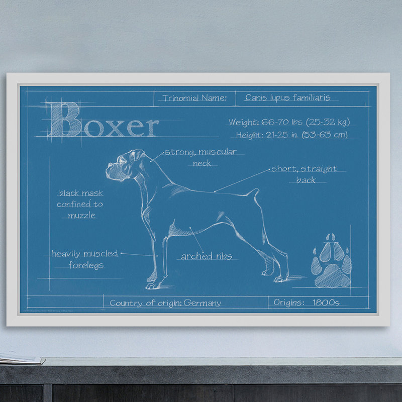 Art mural sur toile Trinx «Blueprint Boxer» par Ethan Harper, H 30 po x l 45 po x P 1,5 po, Papier avec cadre blanc