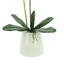 Silk Orchid Faux Floral in Pot-1204512987