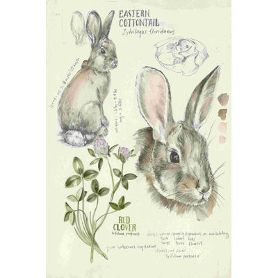 " Wildlife Journals II " by Jennifer Paxton Parker