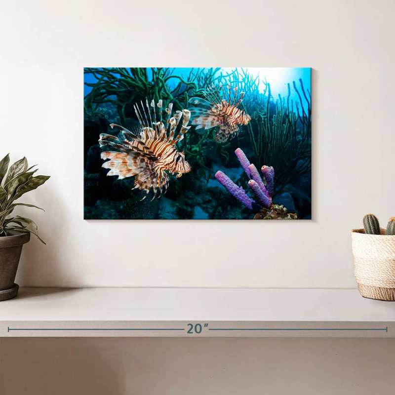 Brampt Atlantic Ocean Lionfish, 8" H x 12" W