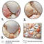 Seashell Contemporary Collage, reproduction d'art sur toile-299806124-480924835