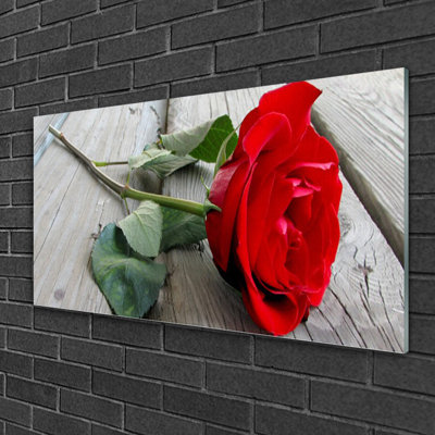 Floral Rose 1 Piece Wall Art on Glass