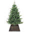 Water Hyacinth Tree Collar