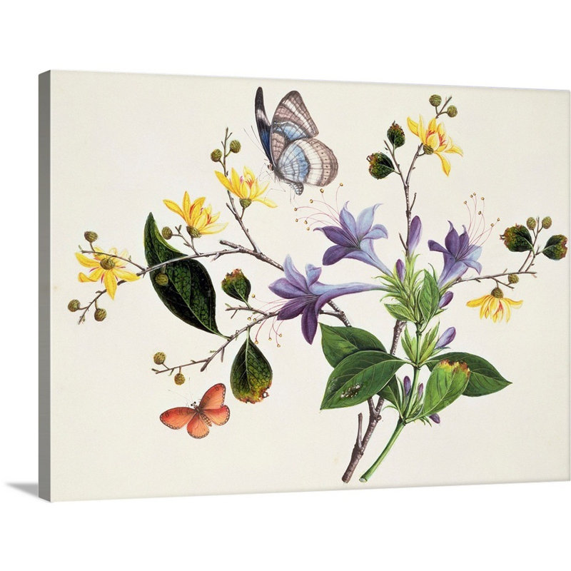 " Flower Study And Insects ", Wrapped Canvas, 18" H x 24" W x 1.25" D