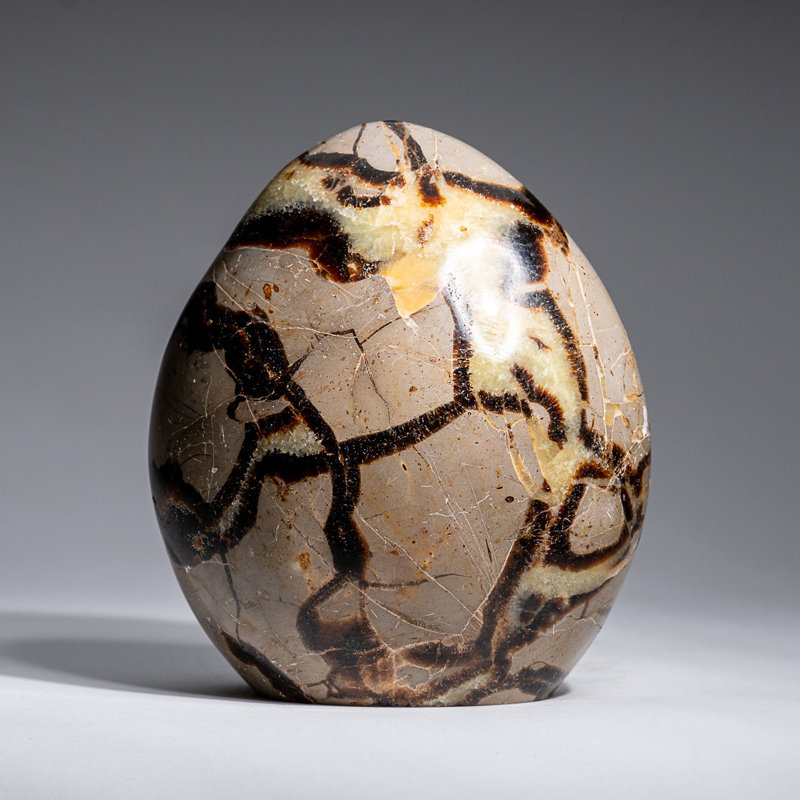 Polished Septarian Freeform from Madagascar (2.6 Lbs)