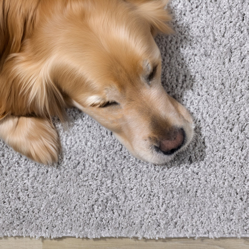 Tapis gris clair à poils longs Hammersmith, Rectangle 7 pi 10 po x 10 pi 6 po