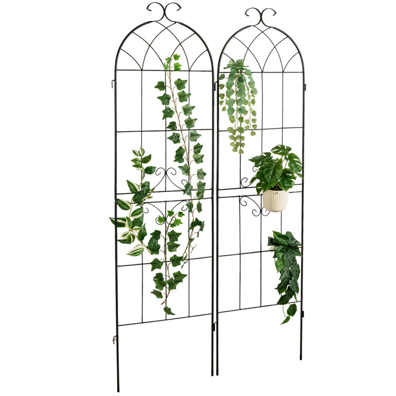 Ekene 180.1Cm H x 49.5Cm W Metal Lattice Panel Trellis