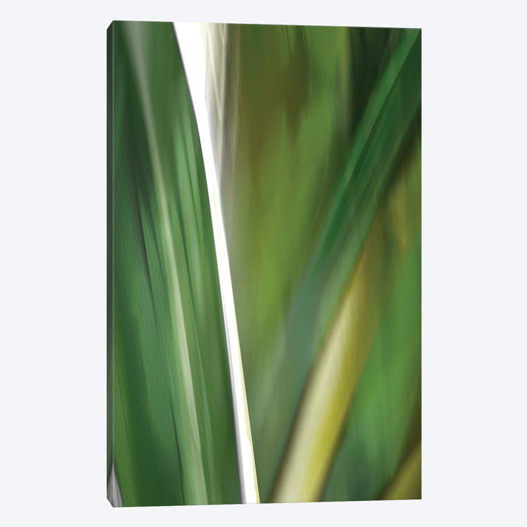 «Organic IV», impression sur toile, H 12 po x l 8 po x P 0,75 po, Pas de tapis, Toile tendue