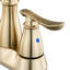 Double Handle Bathroom Sink Faucet with Drainer-63530440