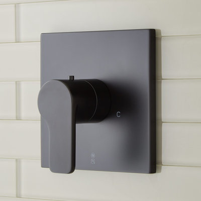 Robinet de douche thermostatique Hibiscus