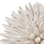 Amoni Abstract Figurines & Sculptures-1808054508