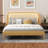 Bed With Led Light And Rattan Headboard-2076450898