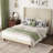 Stylish High Headboard Bed With Headboard, Comfortable High Back Design For Reading And Relaxing-660988339-660988333