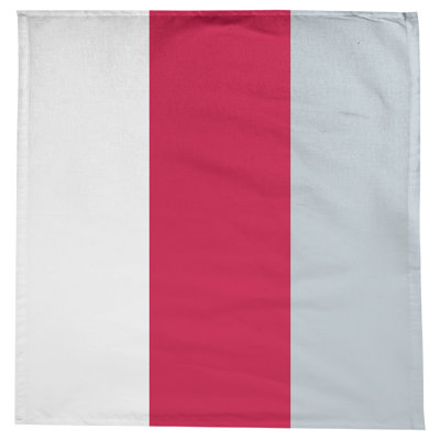 Houston Basketball Tablecloth