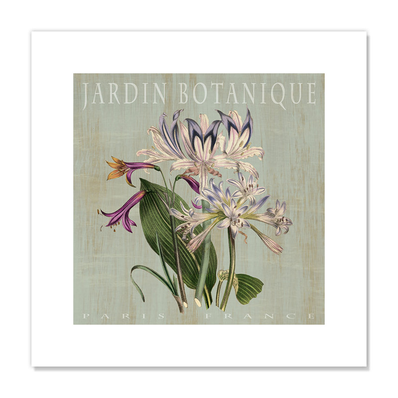 Affiches botaniques Jardin Botanique I - impression sans cadre, H 16 po x l 16 po x P 0,1 po