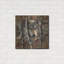 «Wolf Spirit» par Collin Bogle-1974858500