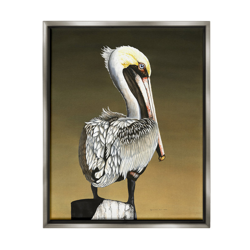 «Pelican With Intense Gaze» par Christine Reichow sur, Cadre flottant gris lustré, H 21 po x l 17 po