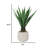 Artificial Agave In A Shell Designed Fiberstone Planter