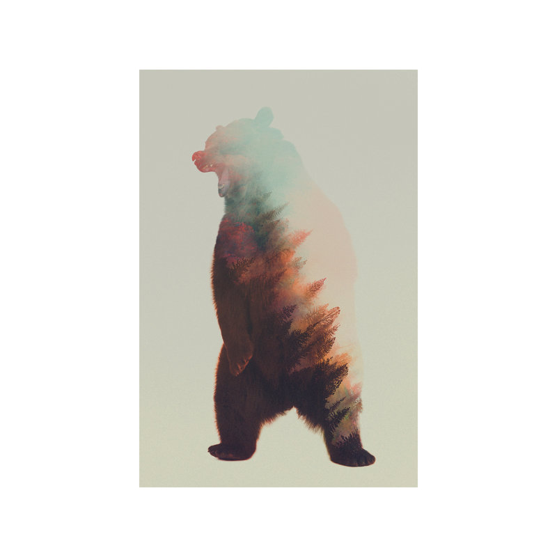 Roaring Bear by Andreas Lie - Wrapped Canvas Print, 66.04 cm H x 45.72 cm W x 1.91 cm D