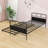 Cristoforo Twin Platform Bed with Twin Trundle