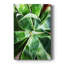 " Green Tropcal Succulent "-1482392795