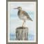 Sea Bird 2 Print