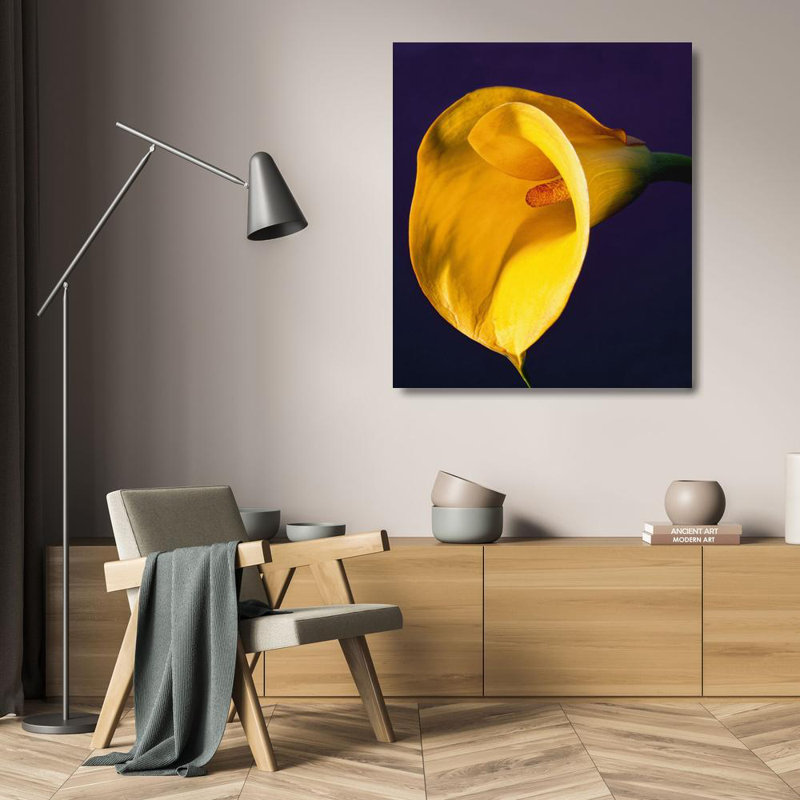 Calla Lily, 1987, H 23 po x l 20 po