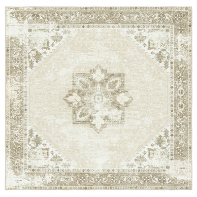 Delvecchio Oriental Sage/Ivory Area Rug