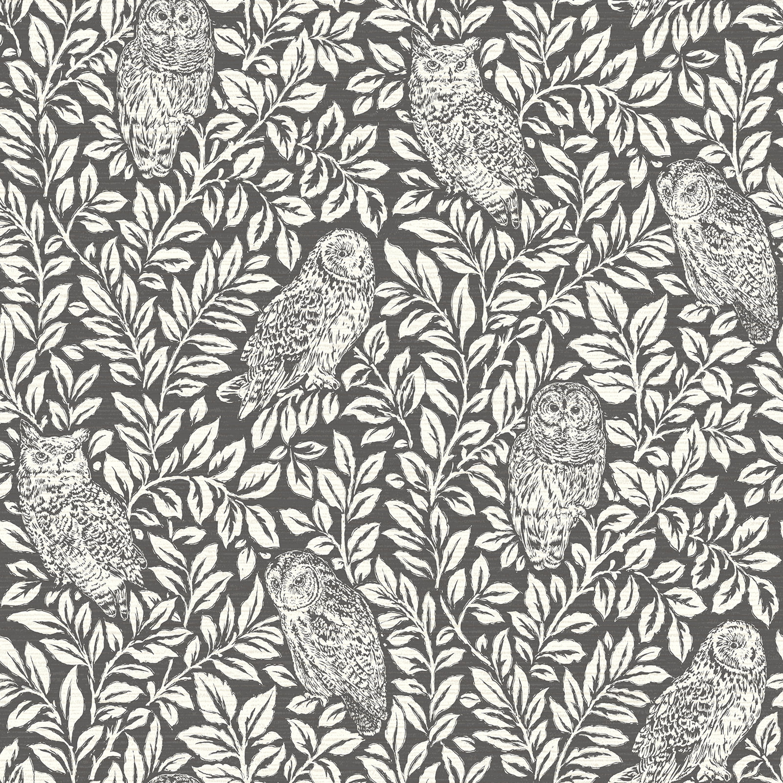 Toby Wallpaper Roll, Brown