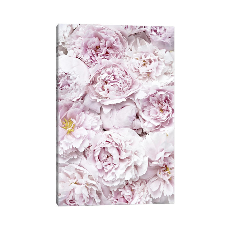 Flowers Peony Pink by Monika Strigel - Wrapped Canvas Print, 66.04 cm H x 45.72 cm W x 3.175 cm D
