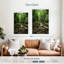 Chutes de la jungle d'Hannes-106964223