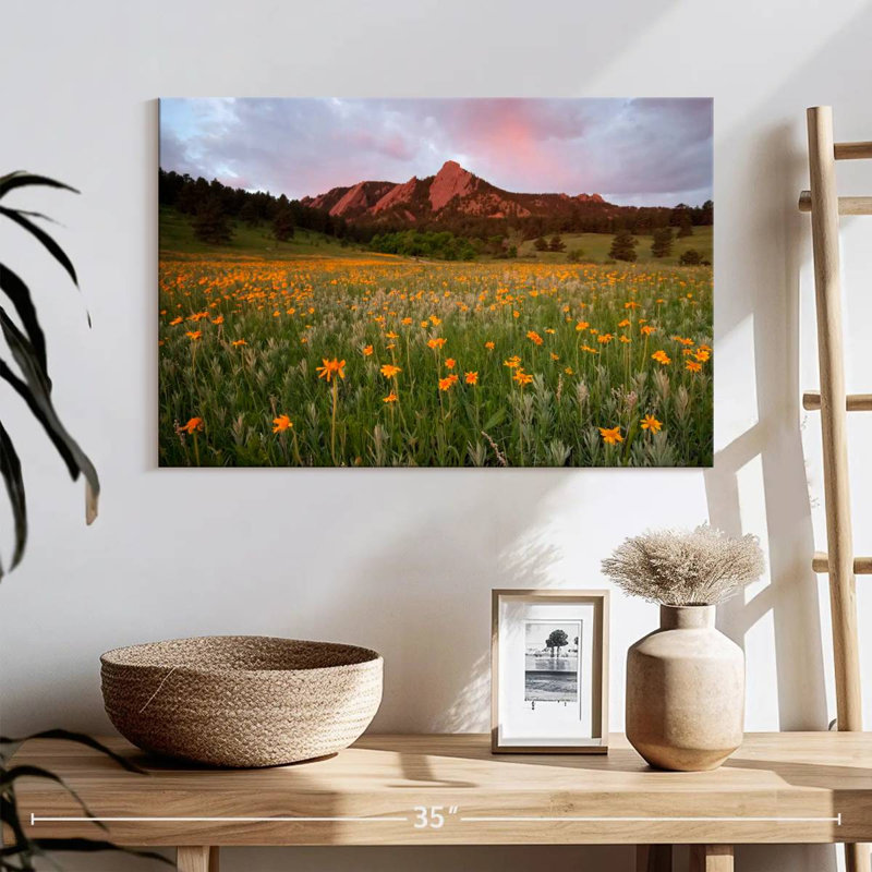 Champ de fleurs Chautauqua Park, H 16 po x l 24 po