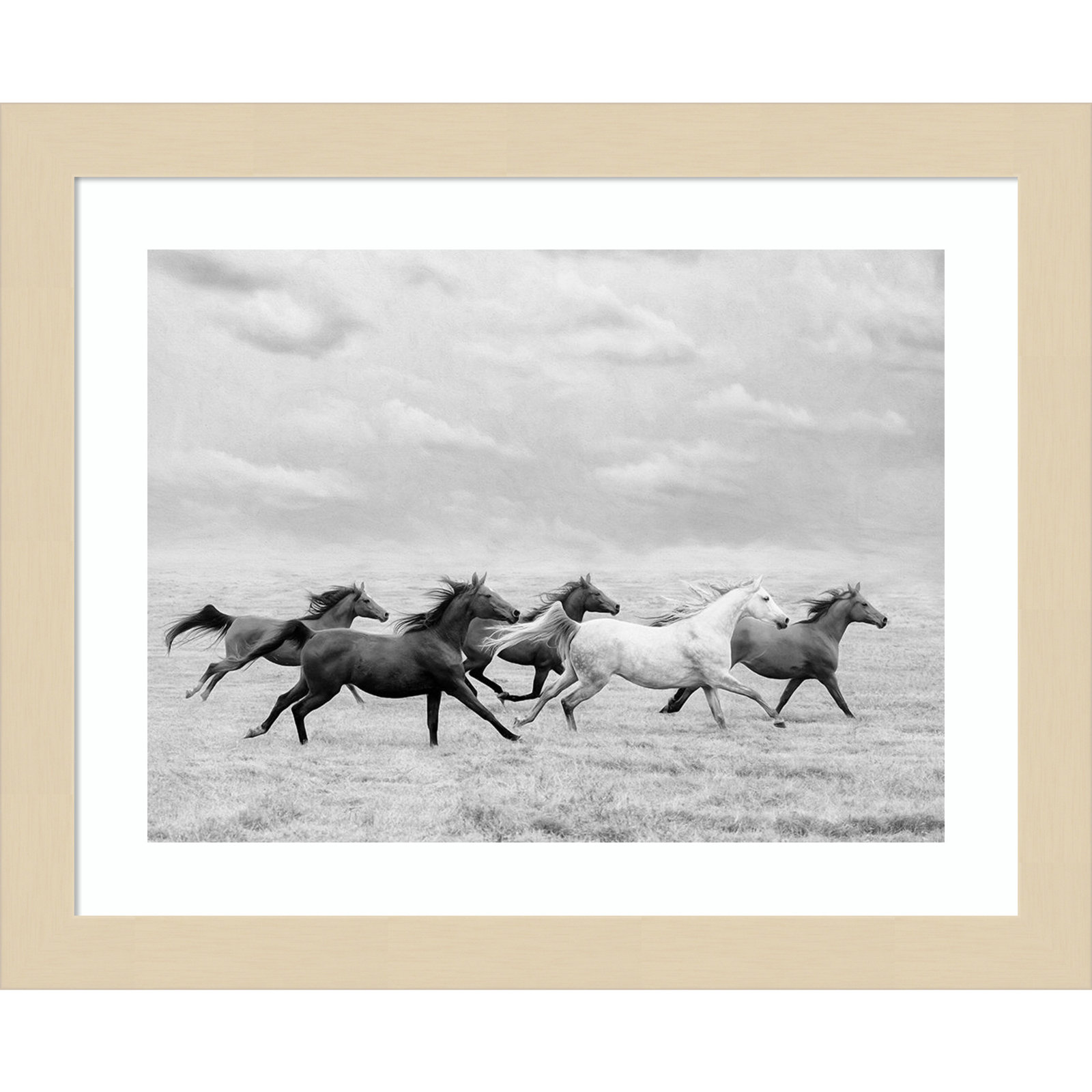 Horse Run I by PHBurchett, 20" H x 25" W, White