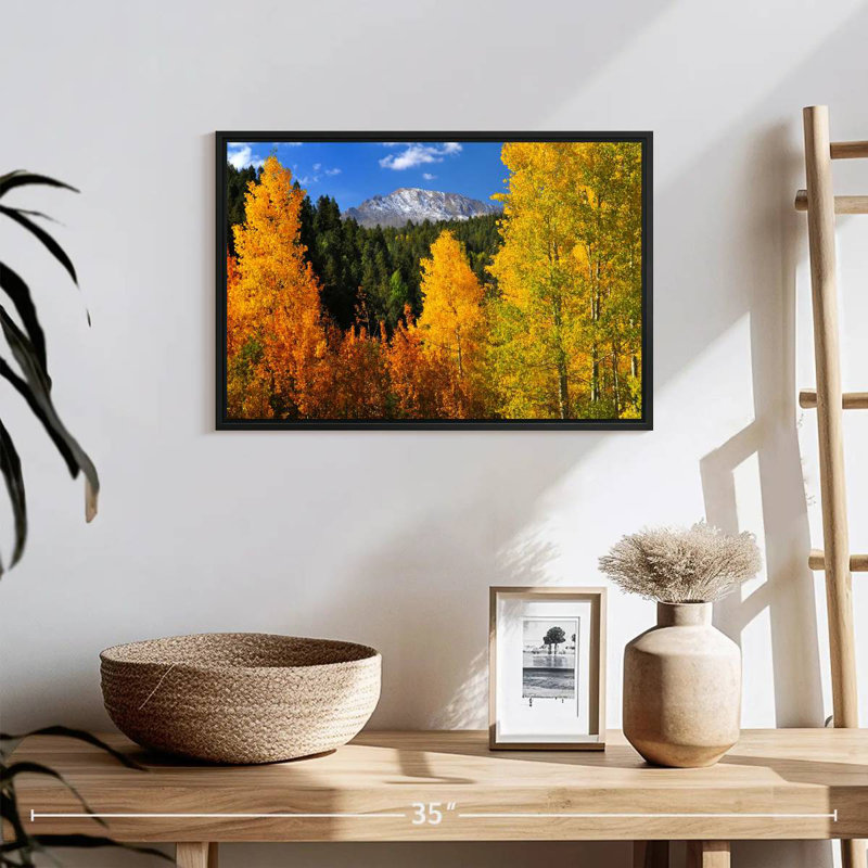 Pikes Peak en automne, 19 po x 13 po, Cadre flottant noir