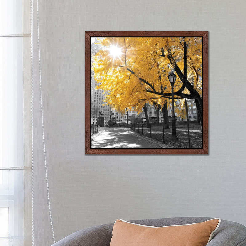 Park Pretty by Amanda J. Brooks - Print on Canvas, 93.98 cm H x 93.98 cm W, Brown Framed