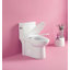 Toilette allongée une pièce Tusuton 1,28 GPF