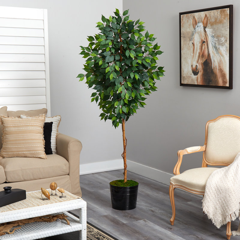 Ficus artificiel 72 po en pot, Noir