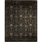 Transitional Hand Knotted Oriental Area Rug in Black