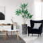 66 plantes-97701520