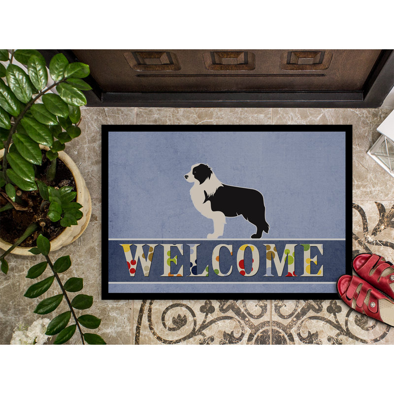 Non-Slip Outdoor Doormat, Black/Blue, 27" L x 18" W