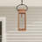 Ginseng Outdoor Hanging Lantern