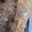 Photos des clients 4 de 5