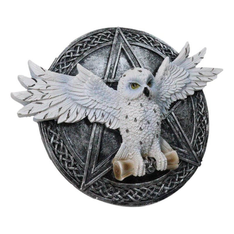 Plaque murale Wiccan Witch White Snowy Owl 3D avec pentagramme et nœuds